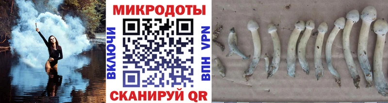хочу наркоту  Чистополь  МЕГА как войти  Псилоцибиновые грибы Cubensis 